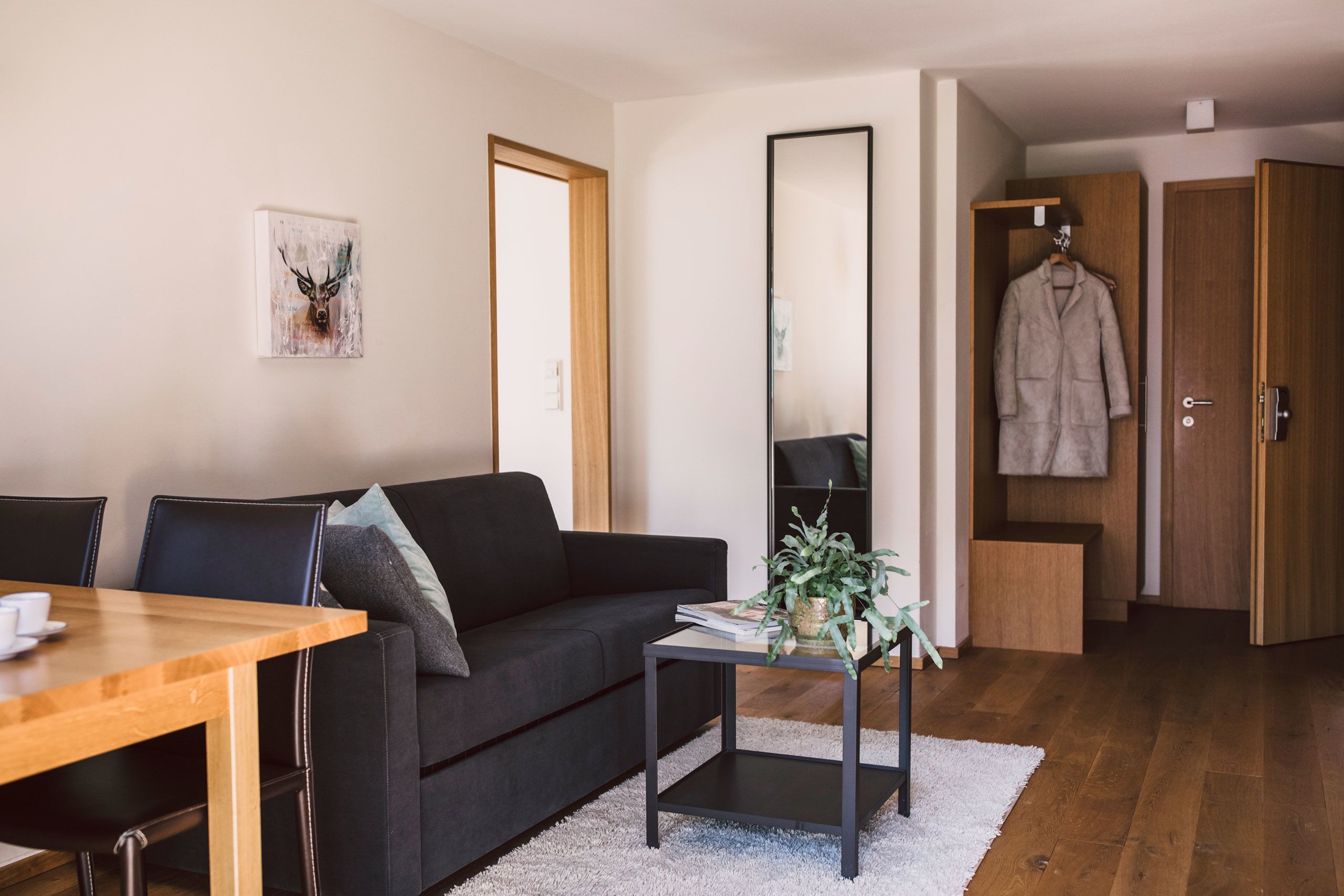 apartment diedamskopf (plus 60 eur final cleaning) | living area | flat-screen tv