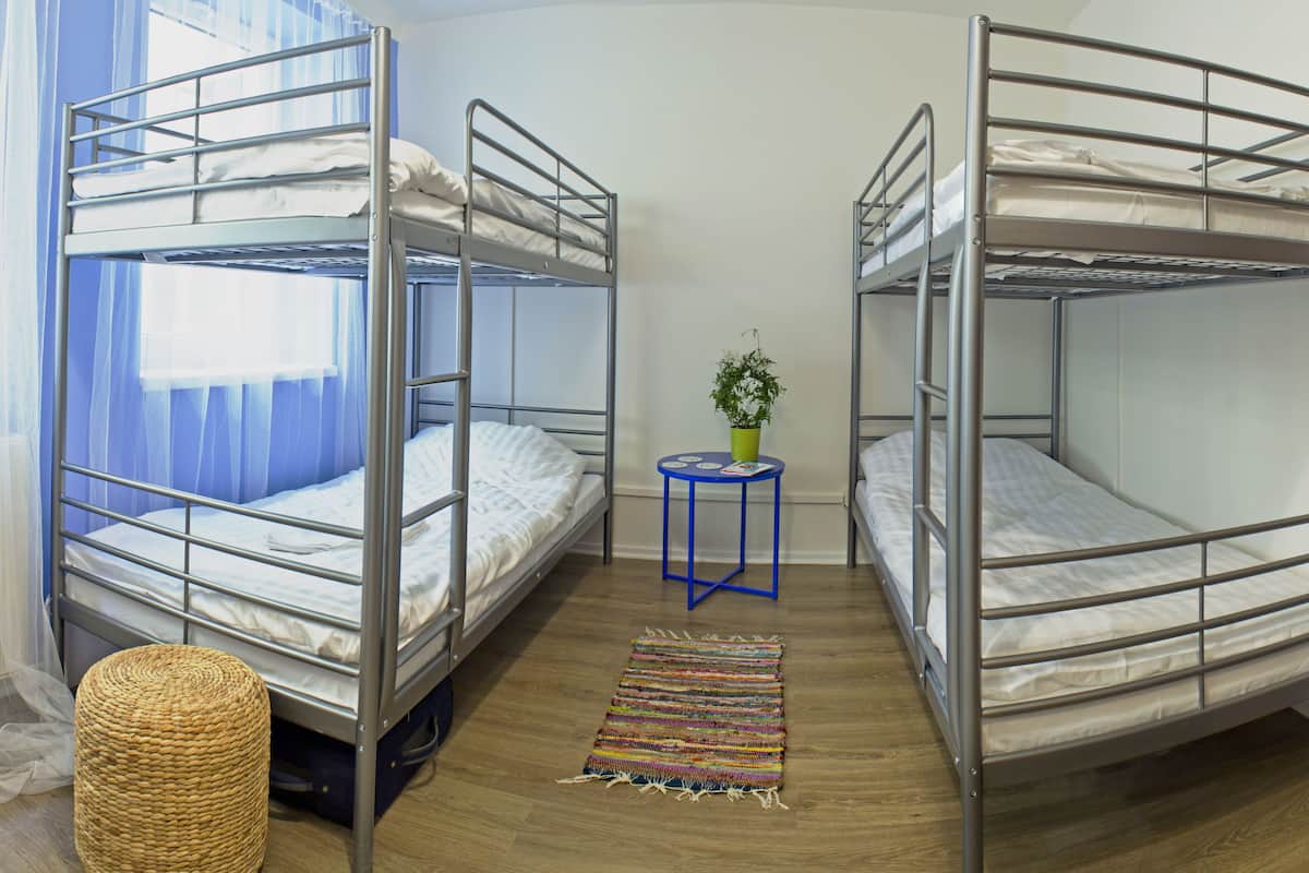 Una habitación con dos literas, una mesita azul pequeña con una planta y una alfombra tejida de colores.