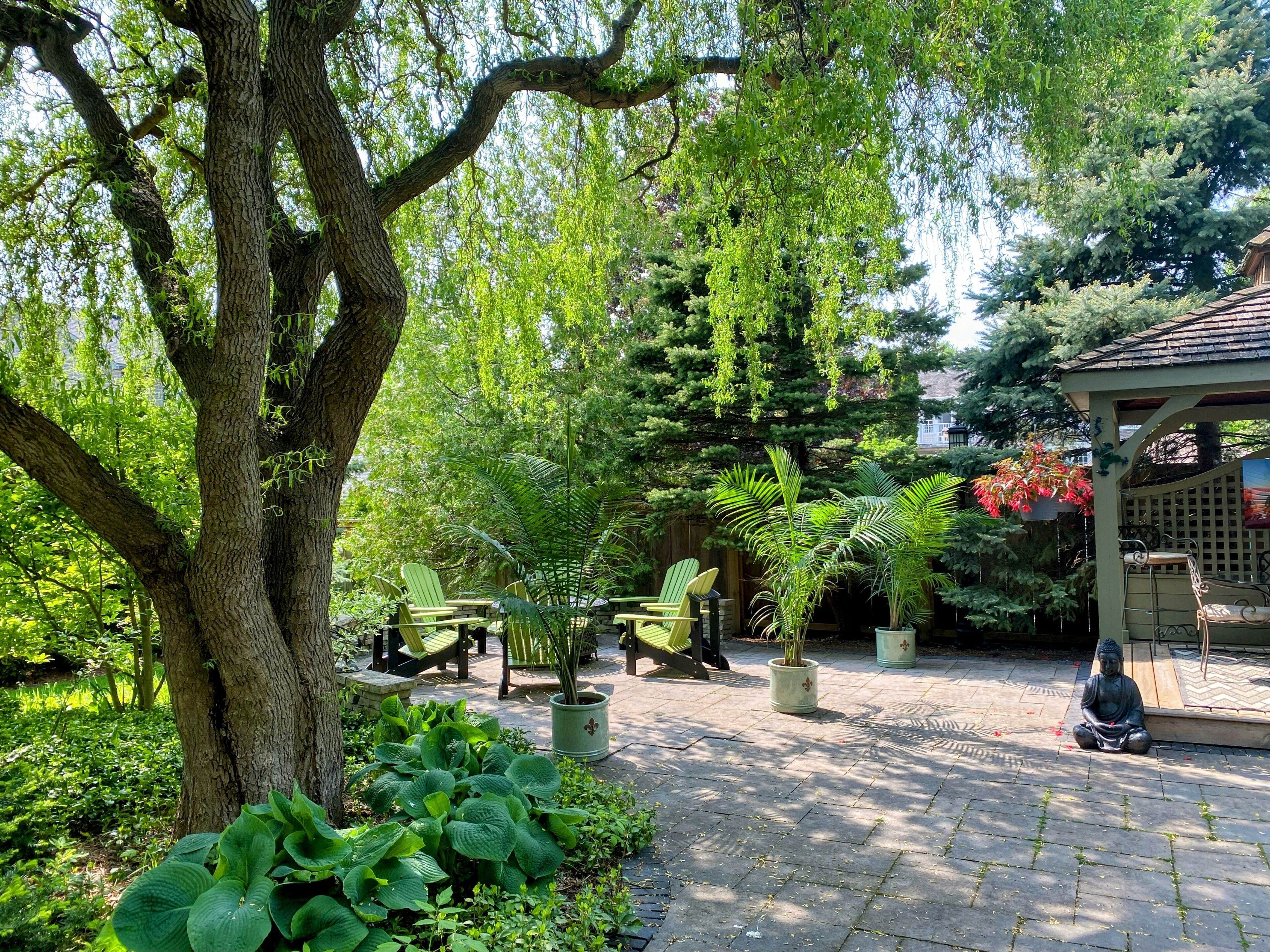 Foto - Explorer House Bed & Breakfast