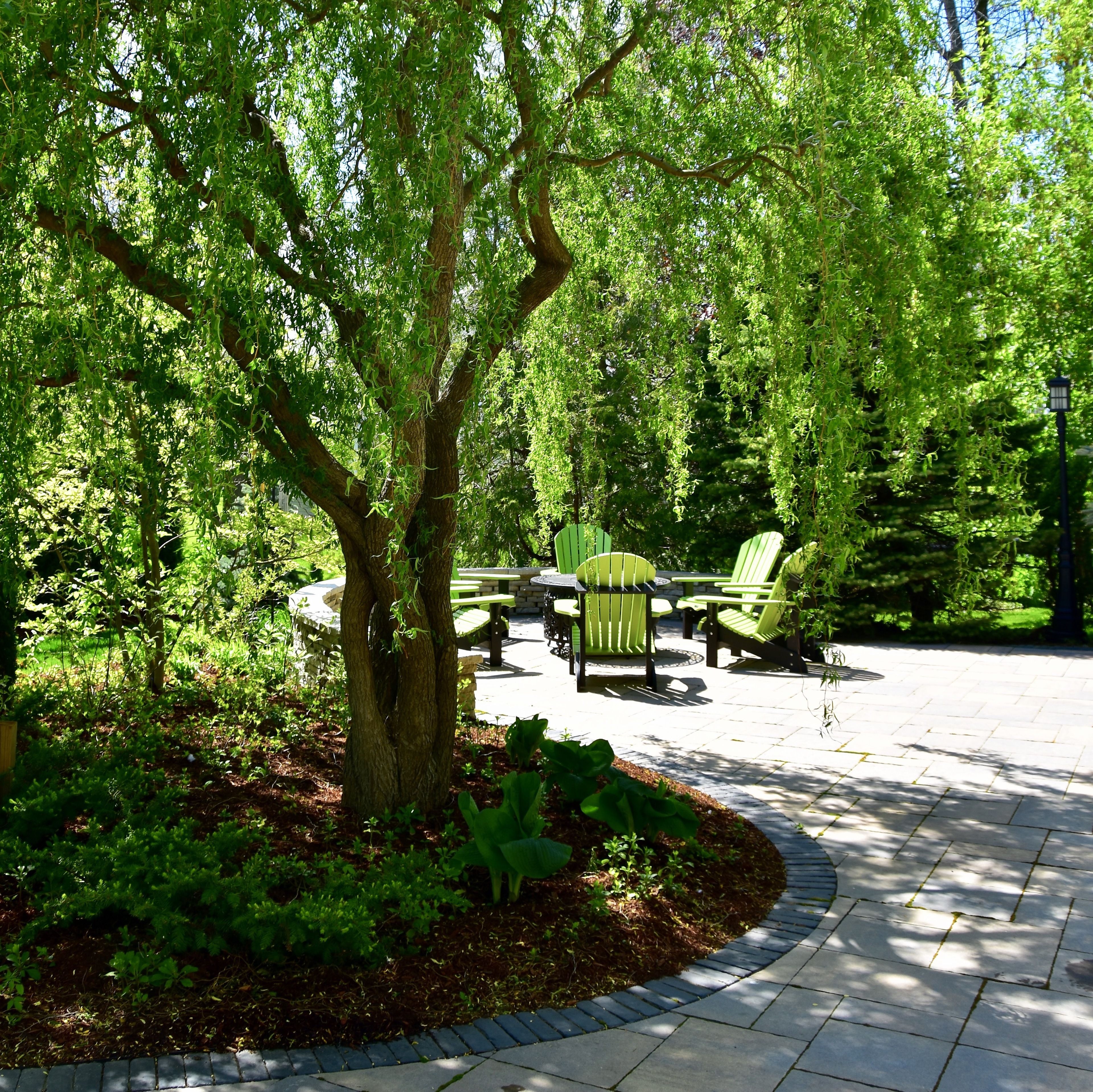 Foto - Explorer House Bed & Breakfast