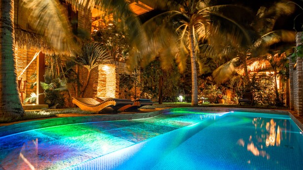 Una piscina de borde curvo, rodeada de palmeras y una estructura con techo de paja.