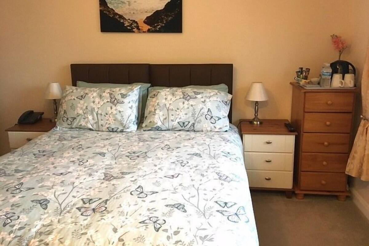 A bedroom with a bed, two nightstands, a dresser, and a wall-mounted picture of a heart-shaped landscape.