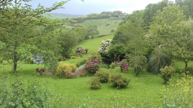 Taman