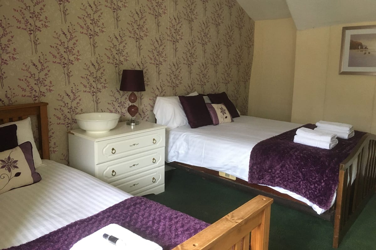 Chambre Double ou avec lits jumeaux, salle de bains attenante