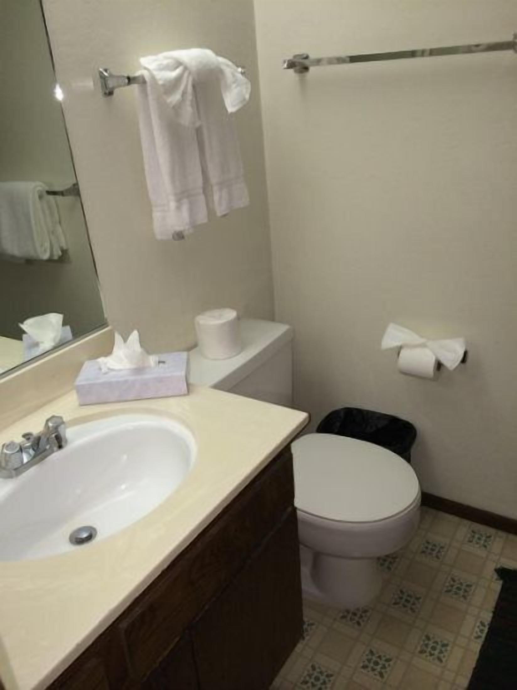Un baño con lavamanos, inodoro y espejo. Hay toallas colgadas en la pared y un cubo de basura.