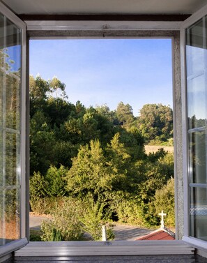 A view from a window overlooking a forested area with a cross on a roof.