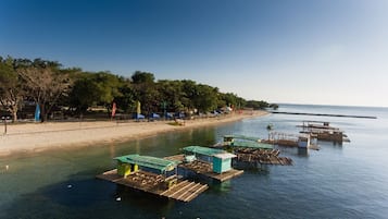 On the beach, sun loungers, beach umbrellas, beach towels