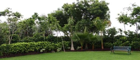 Taman