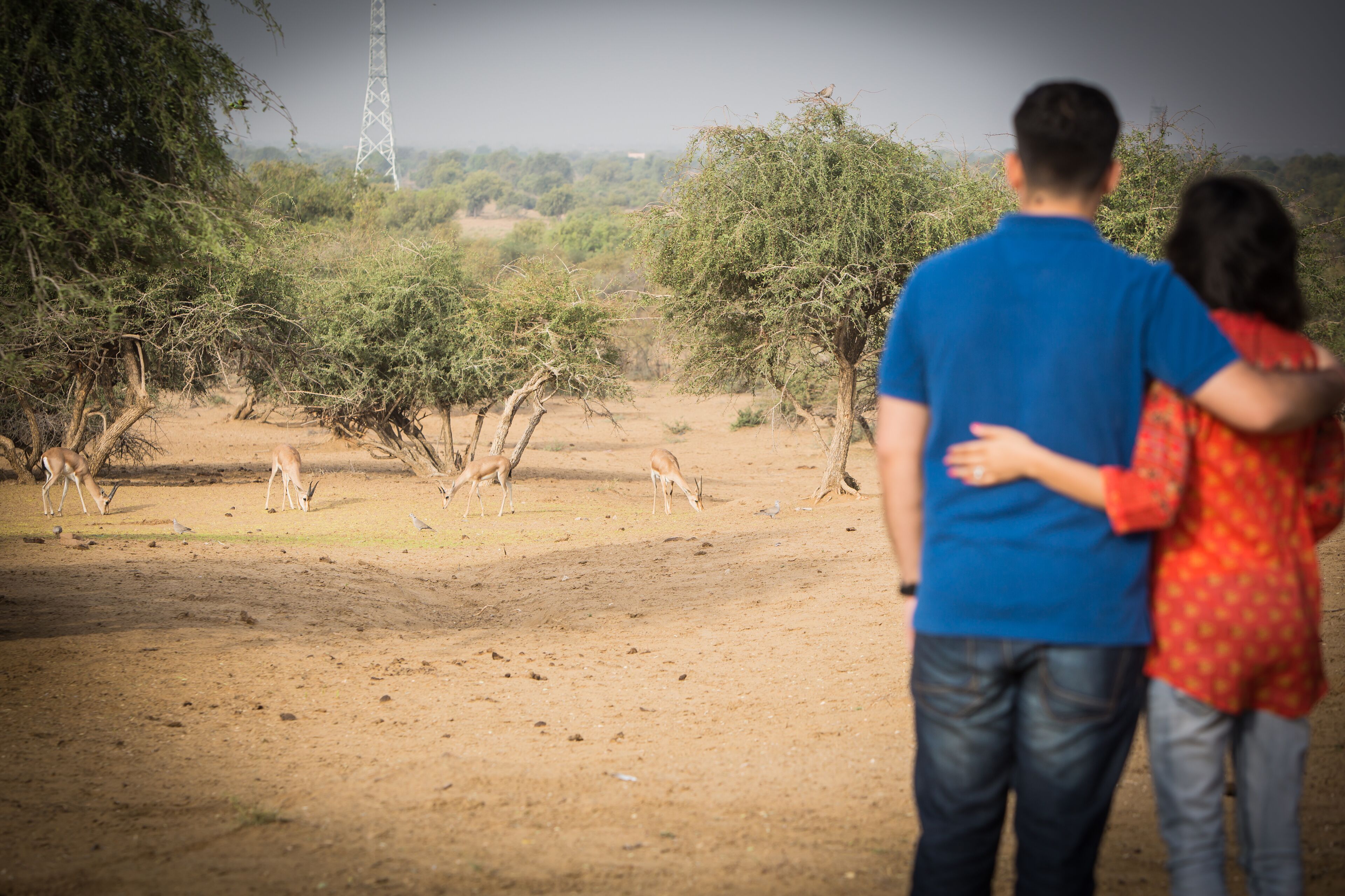 Una pareja de espaldas a la cámara, contemplando un paisaje seco con vegetación escasa y algunos animales pastando.