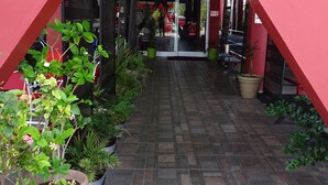 Cobertura com plantas em vasos, conduzindo a uma entrada de edifício.