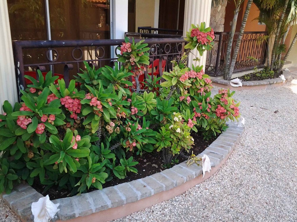 Aparta-Hotel Villa Baya by null