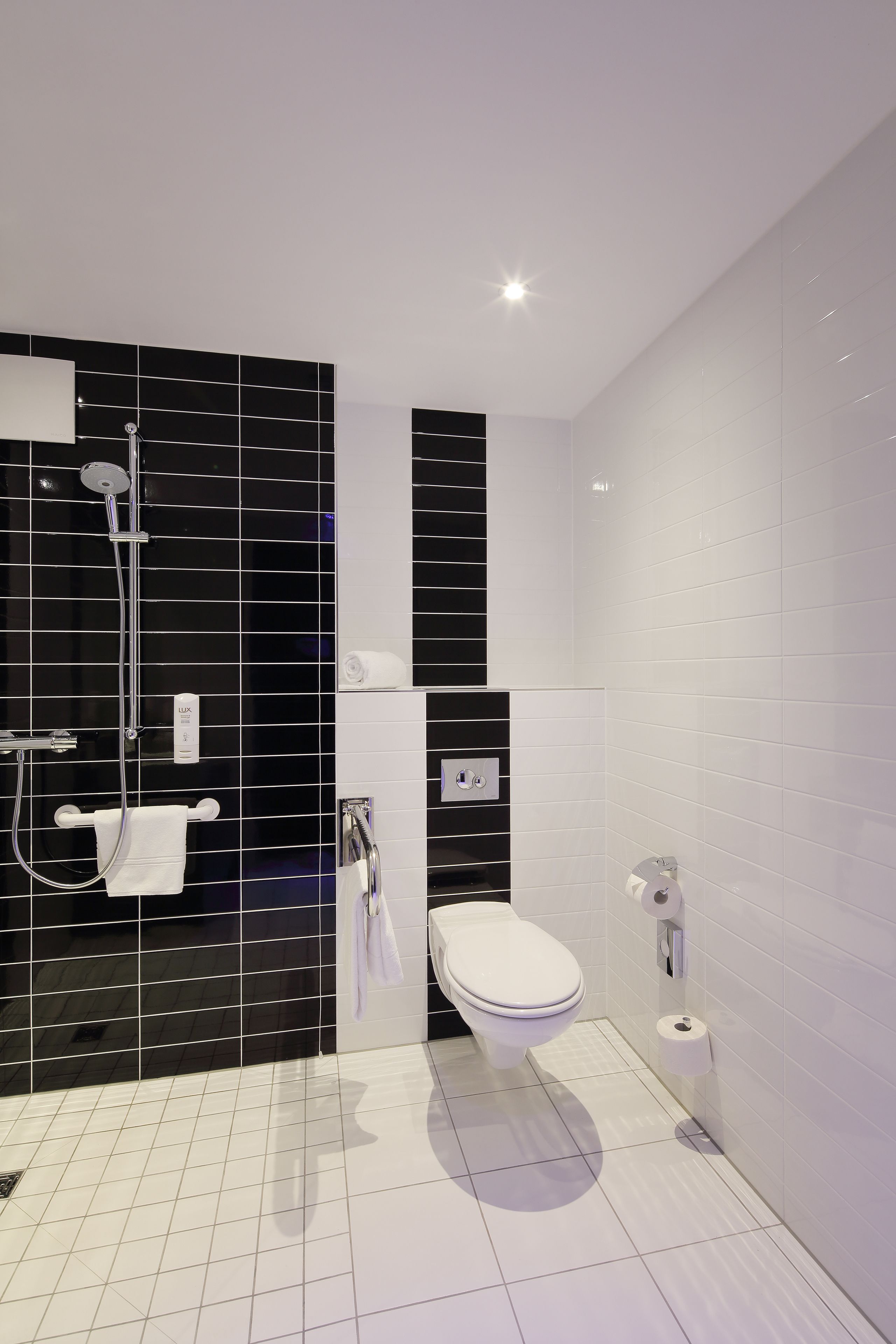 standard room, 1 queen bed, accessible | bathroom | shower, hair dryer, towels, soap