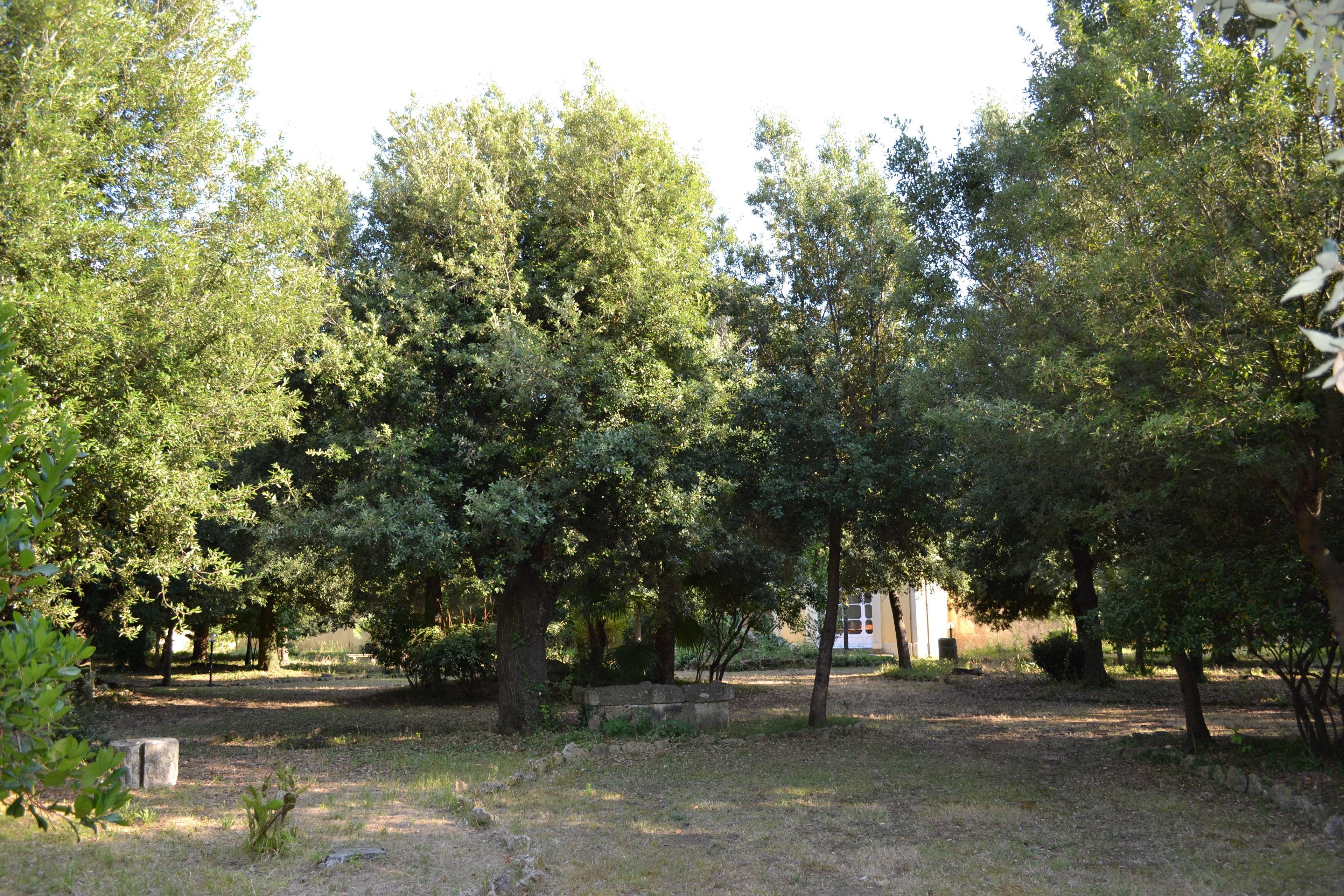 Foto - Villa Graziani