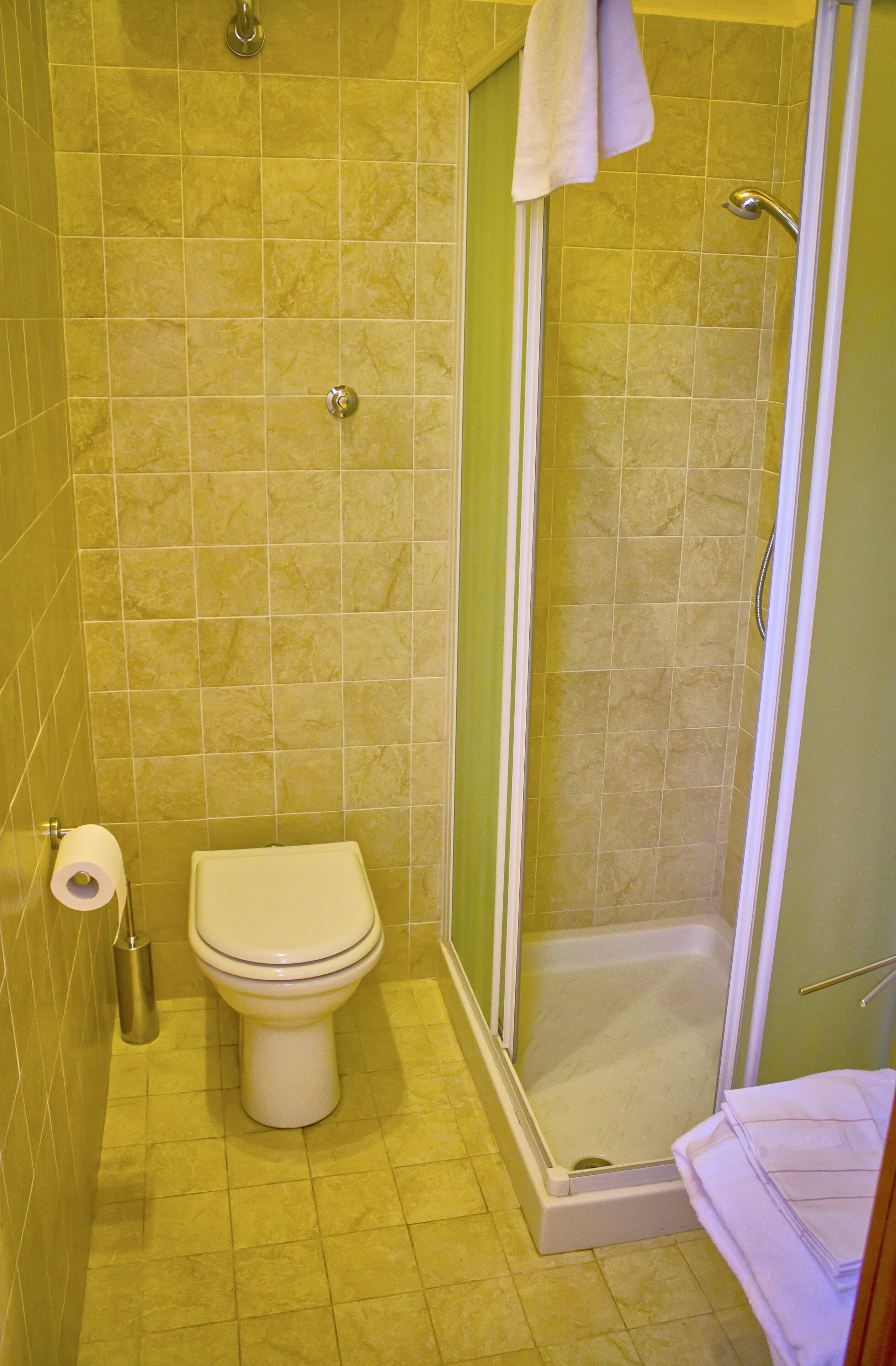A bathroom with a toilet, a shower, and a towel rack.