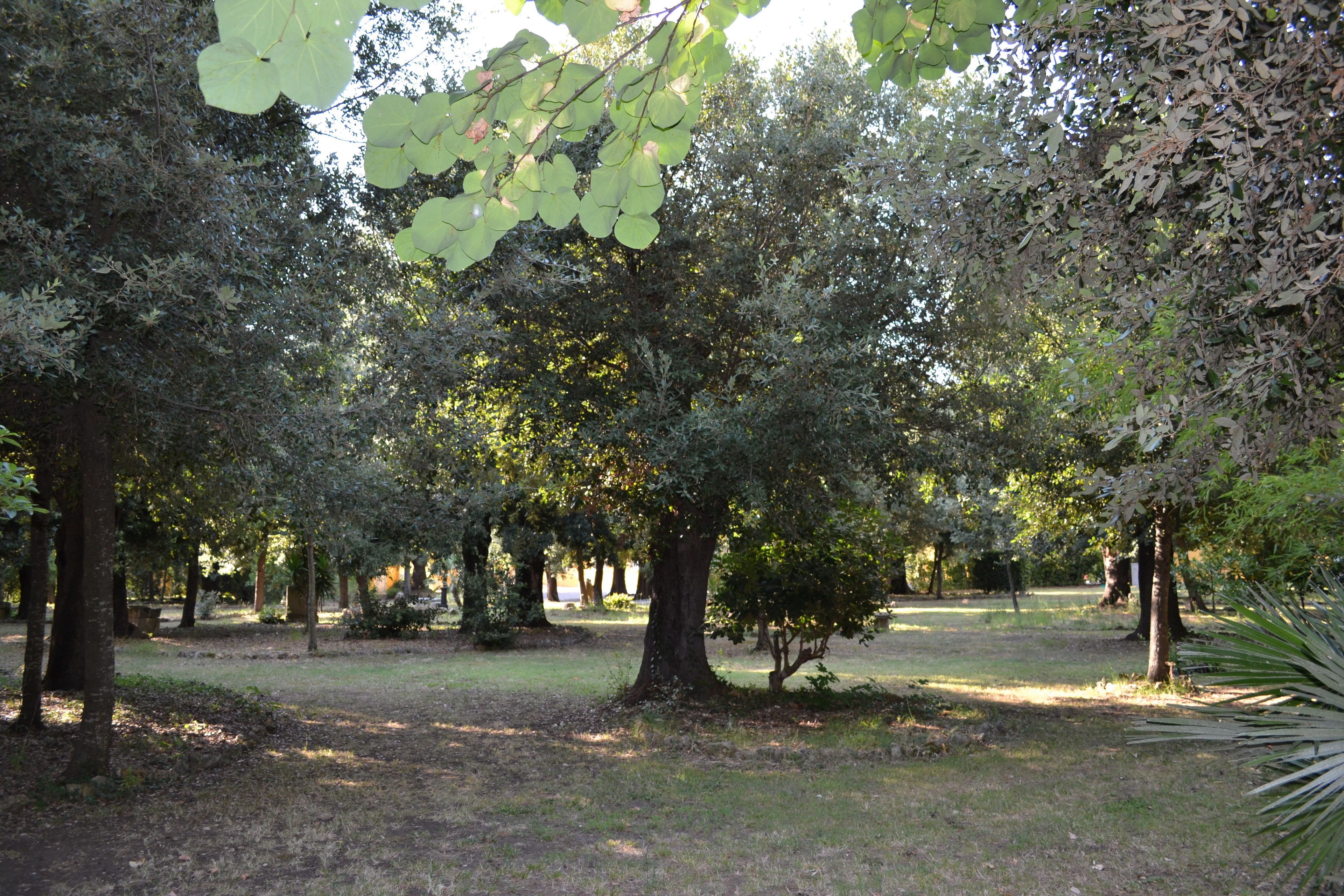 Foto - Villa Graziani