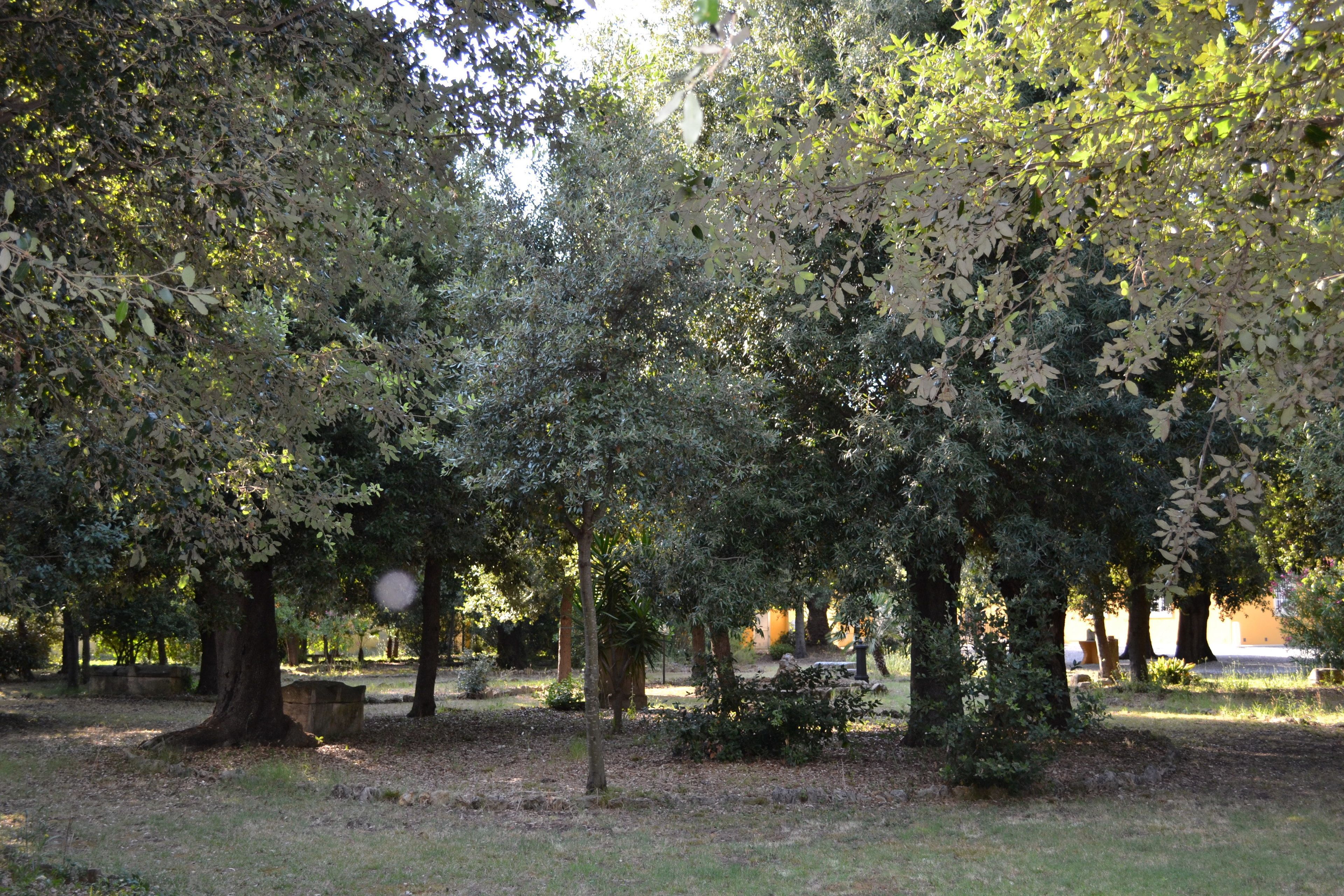 Foto - Villa Graziani