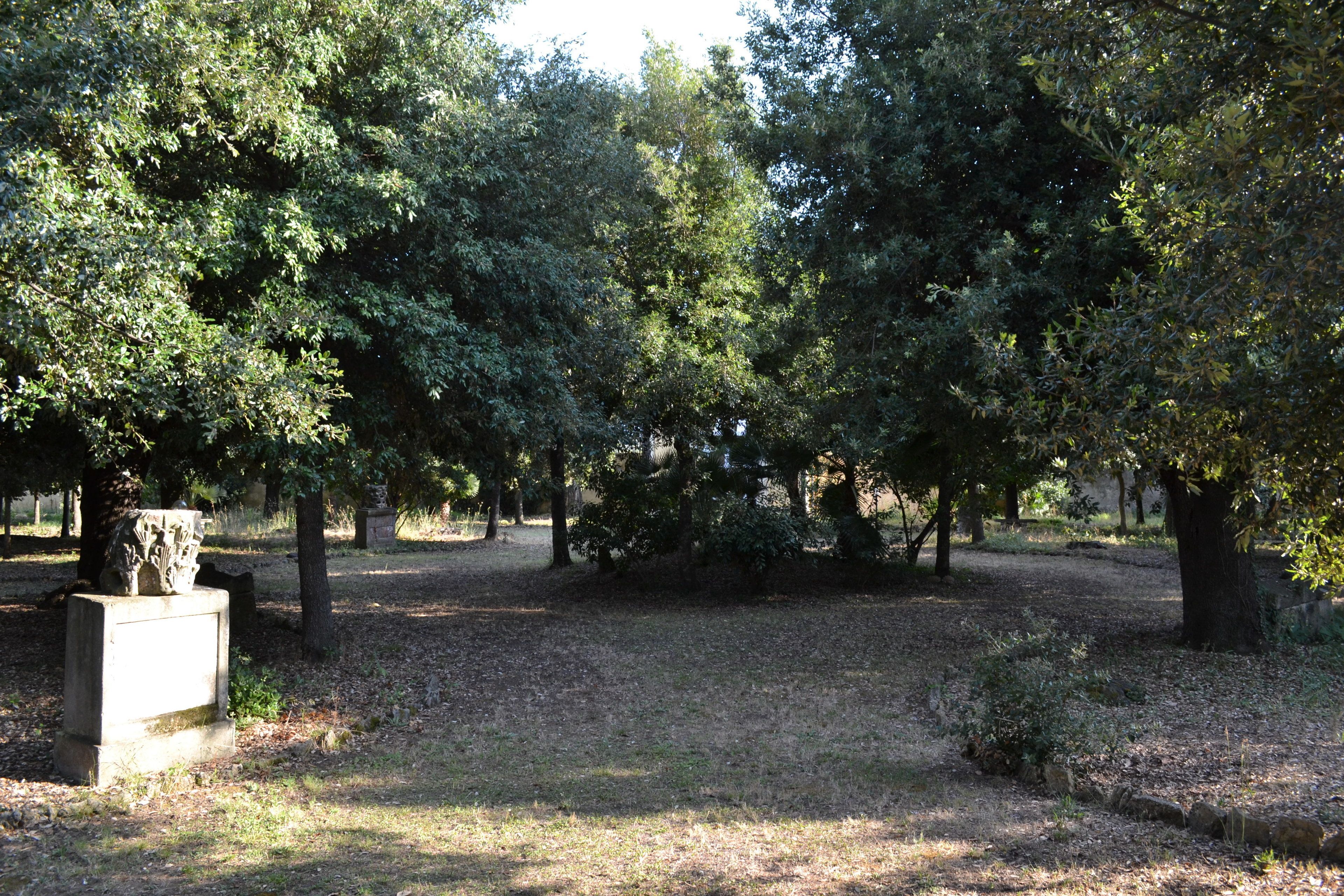 Foto - Villa Graziani