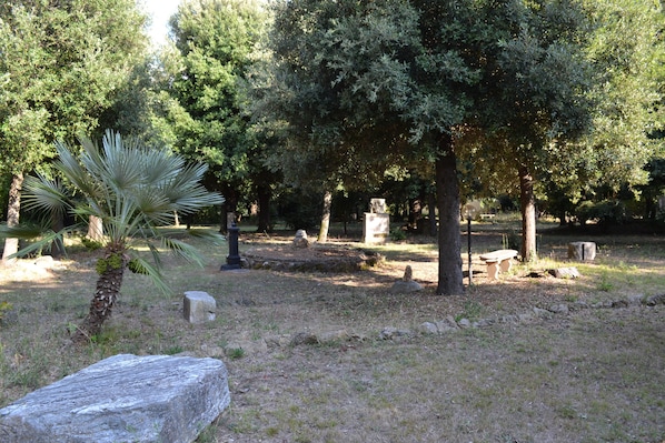 Property grounds