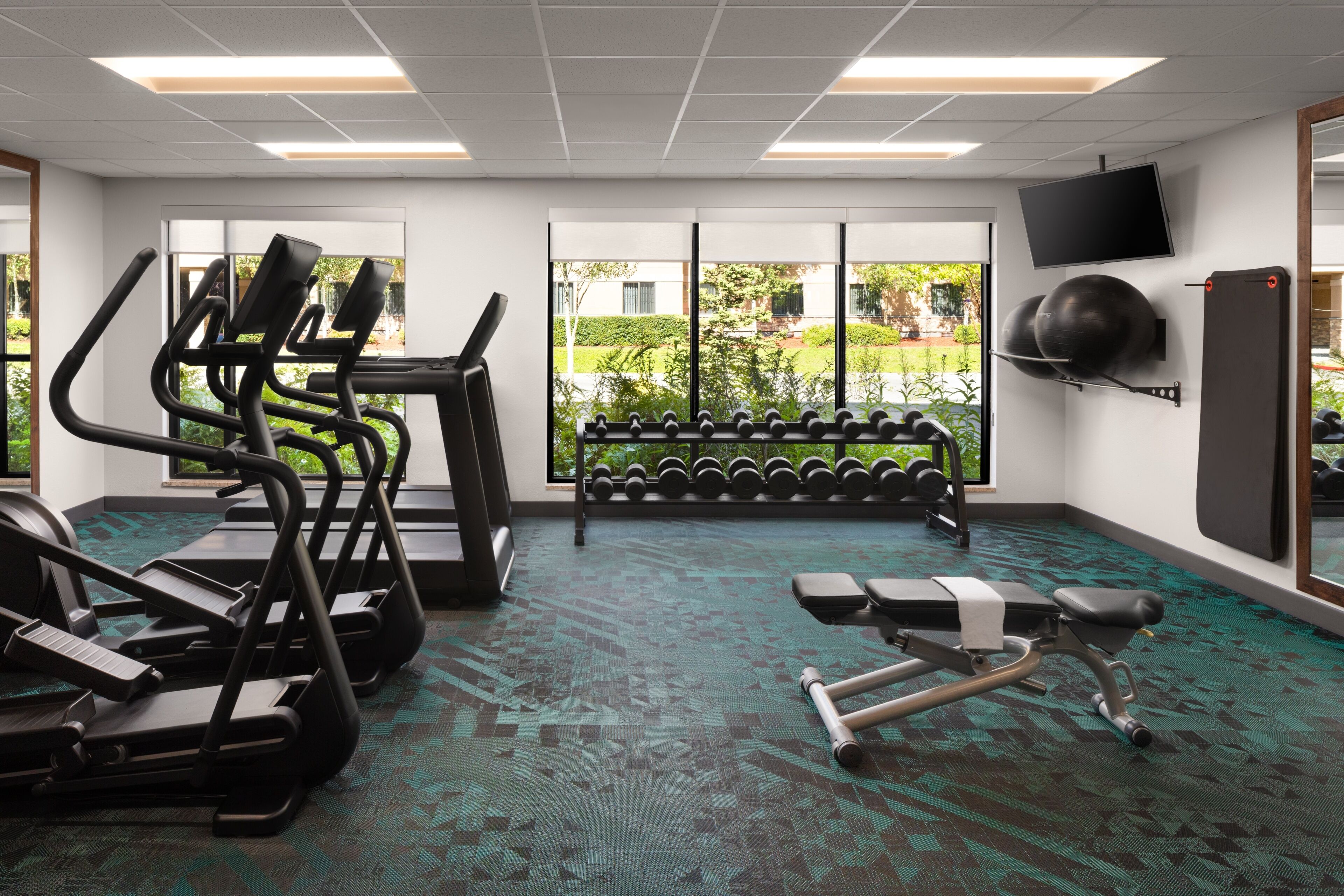 A gym with treadmills, dumbbells, and exercise equipment.
