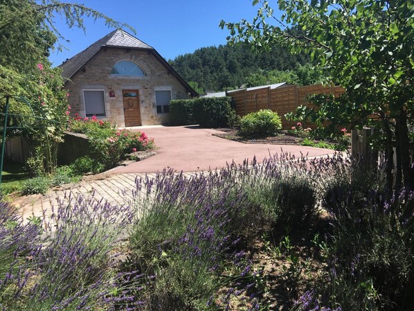A stone building with a wooden door, surrounded by lavender and other plants.