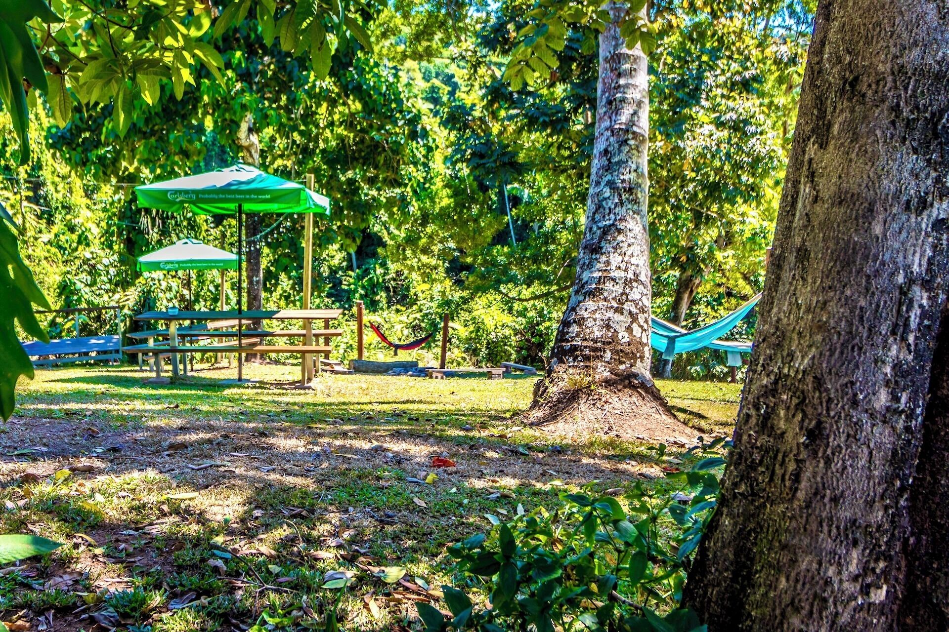 A picnic area with tables and a hammock under a green canopy.