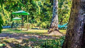 A picnic area with tables and a hammock under a green canopy.