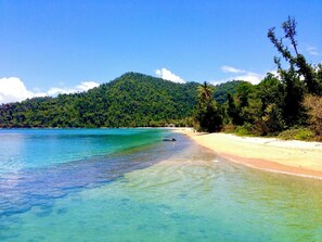 Beach nearby - Jackaroo Treehouse Mission Beach - Hostel (Bingil Bay)