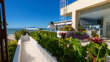 Jardín
