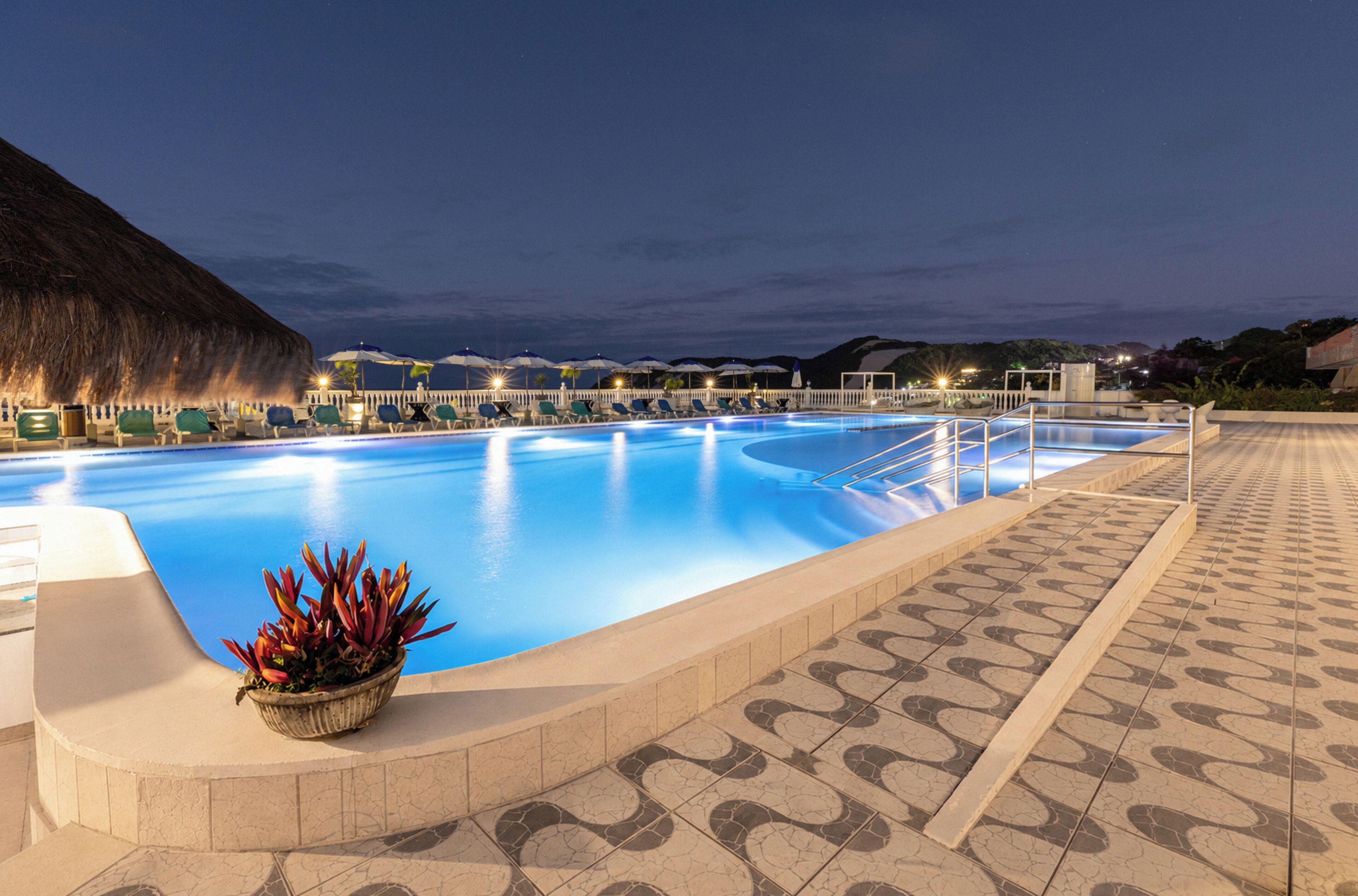 A swimming pool with a tiled deck, a thatched roof structure, and a potted plant with red leaves.