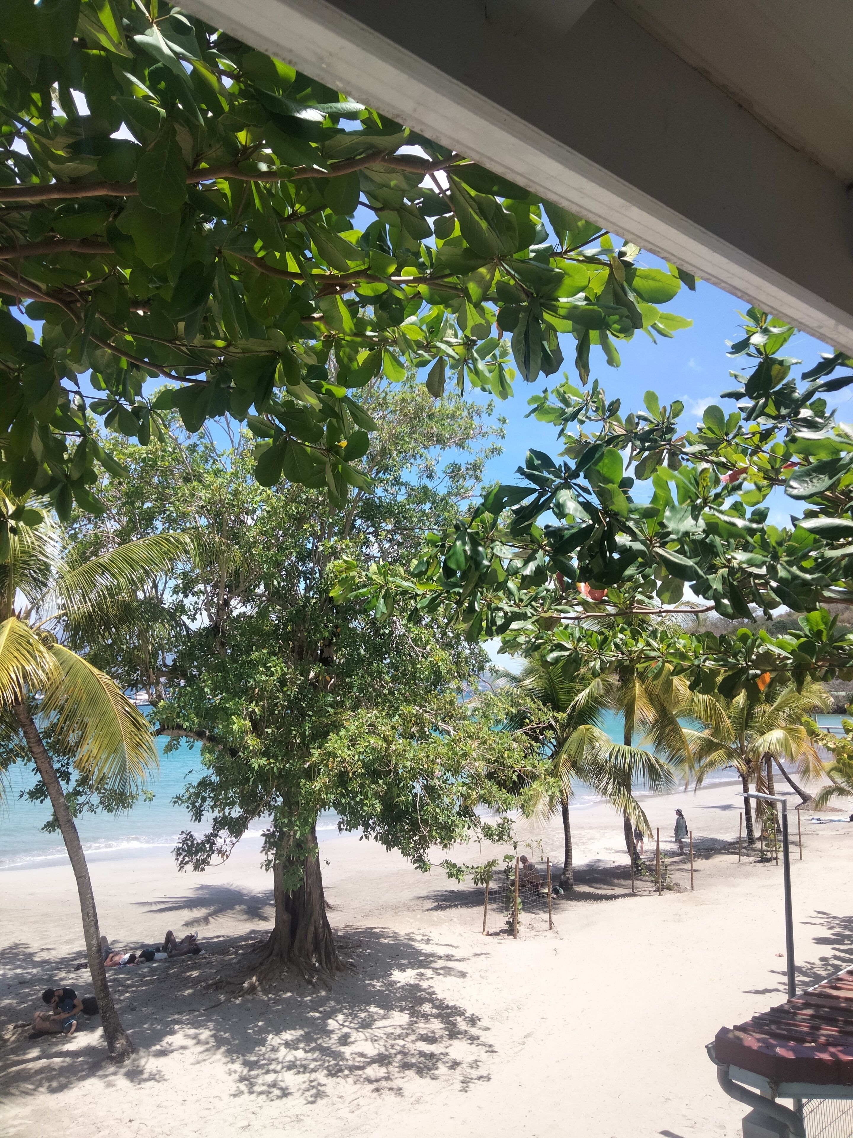 Comfort-dupleks - 1 soveværelse - havudsigt (Résidence Ramiers) | Terrasse/gårdhave