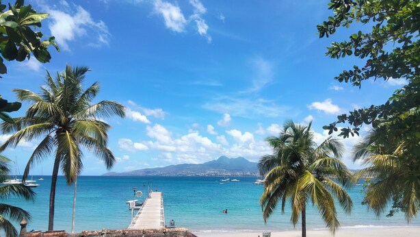 Una playa con palmeras, un muelle y barcos en el agua.