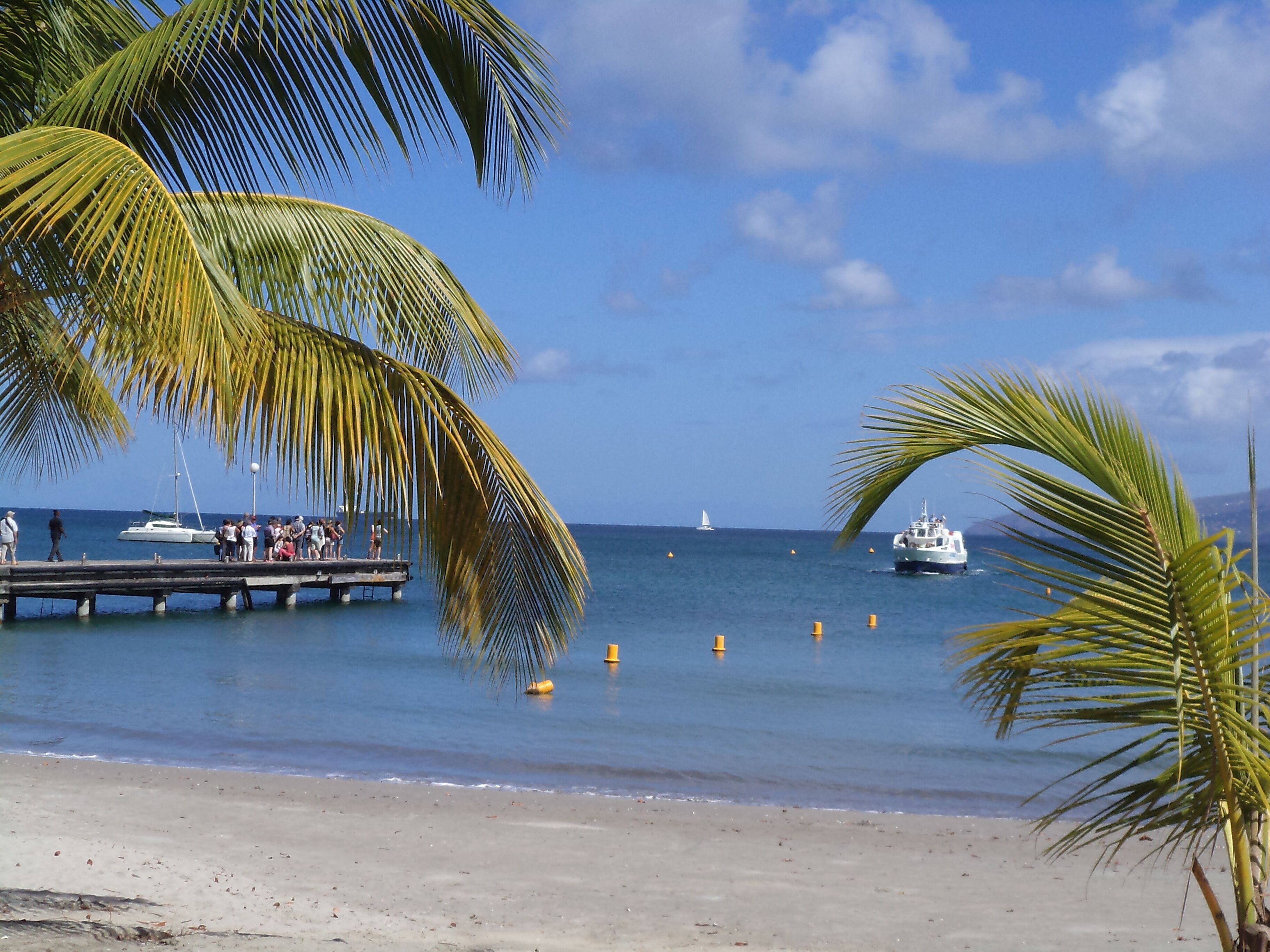 Una playa con muelle, palmeras y barcos en el agua.