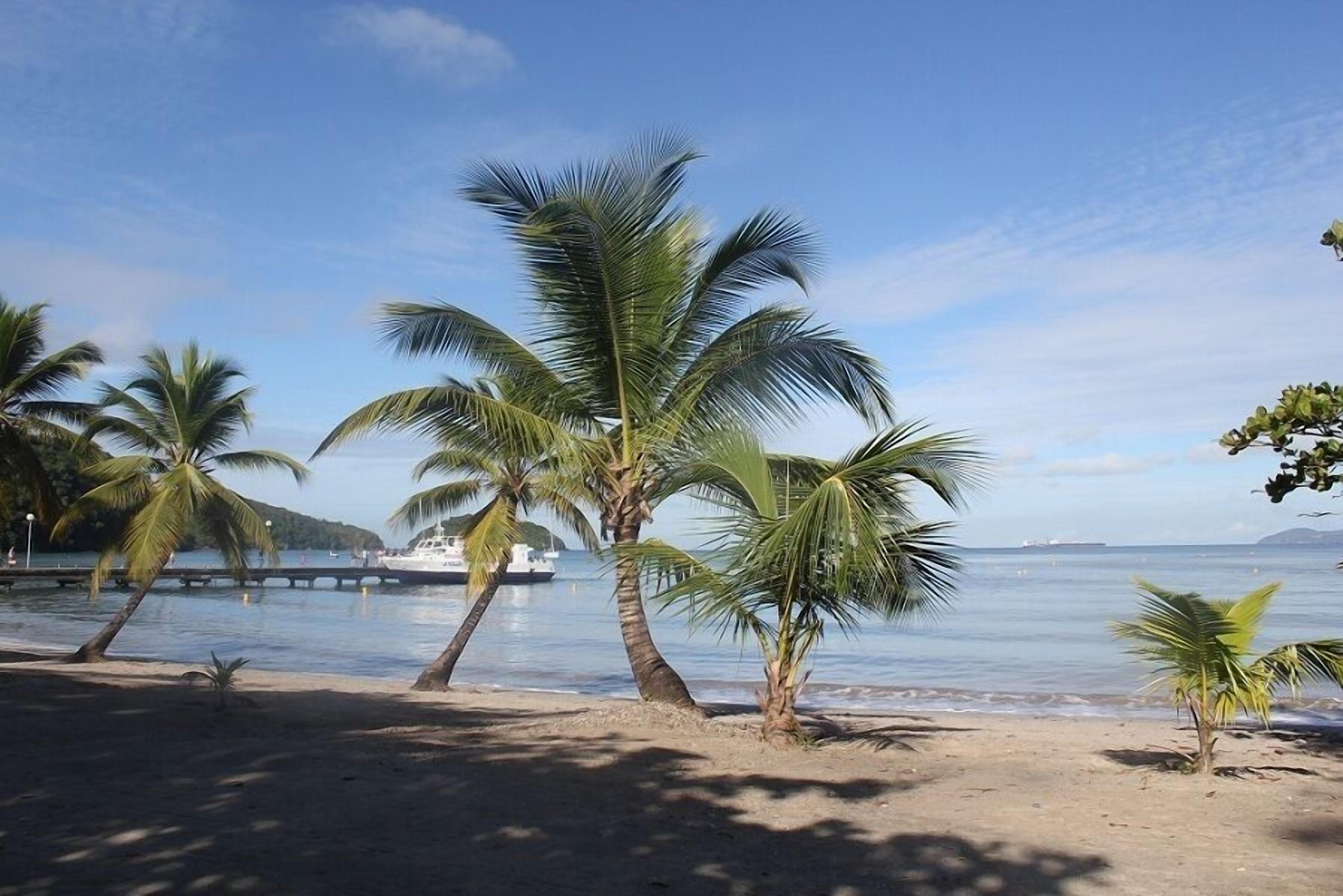 A beach with palm trees and a boat in the background.