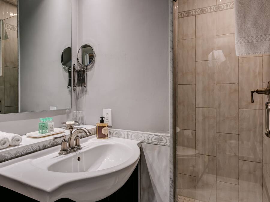 Une salle de bain avec un grand lavabo, un miroir et un espace douche.