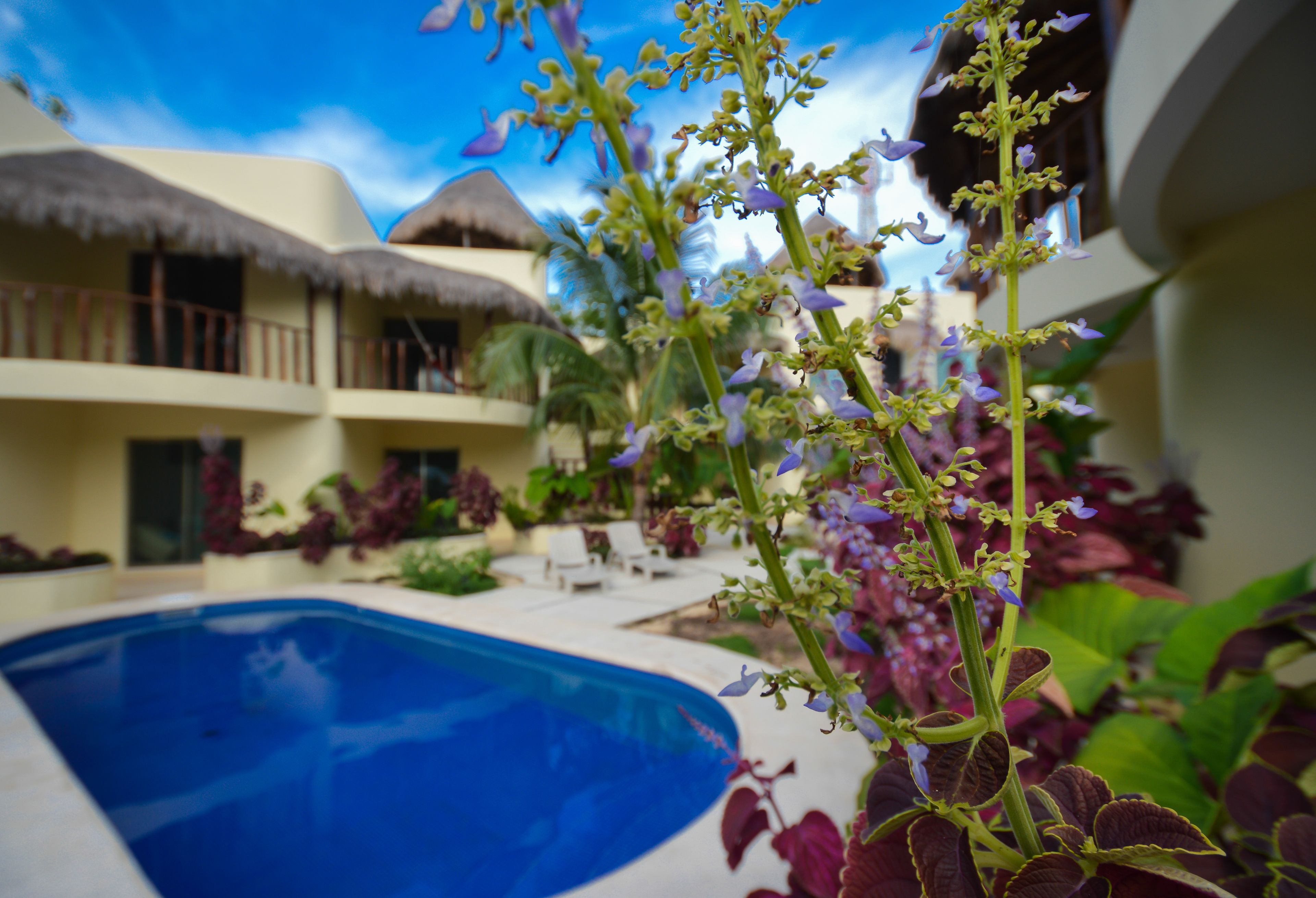 Photo - Villas Akalan