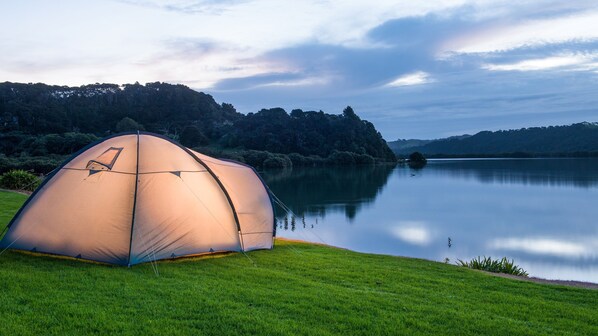Property grounds - Waitangi Holiday Park (Paihia)