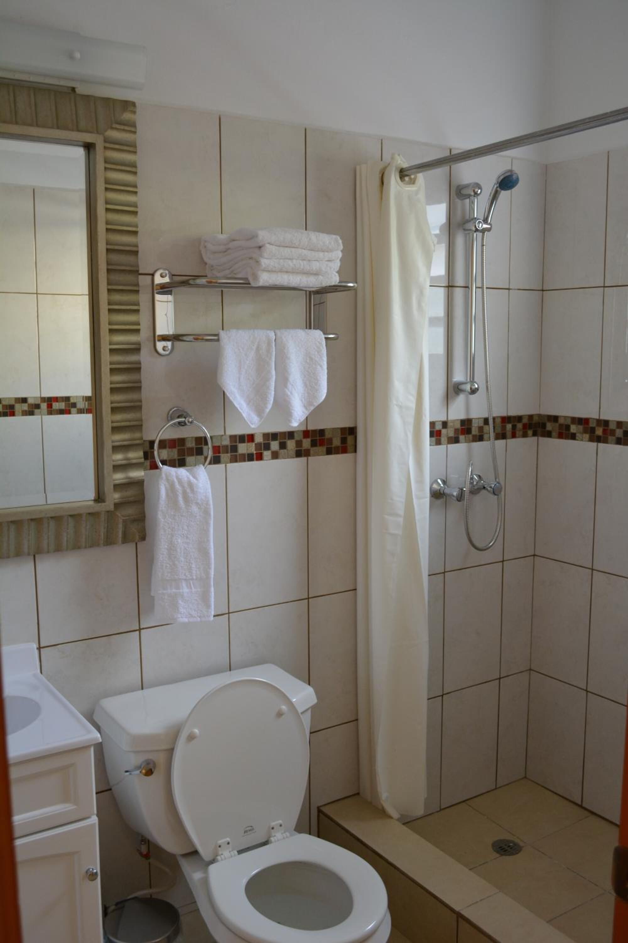shower, free toiletries, hair dryer, towels