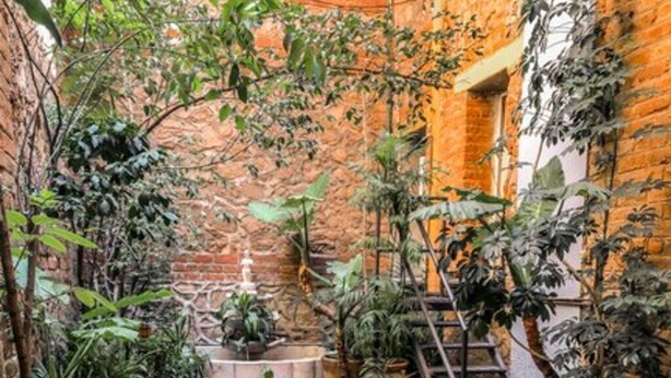 Un patio con una mesa y sillas de madera, rodeado de macetas con plantas y un muro de ladrillo.