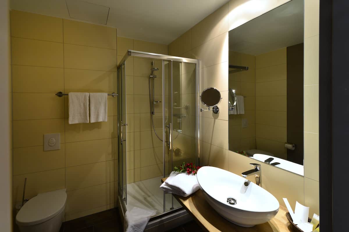 shower, free toiletries, hair dryer, bathrobes