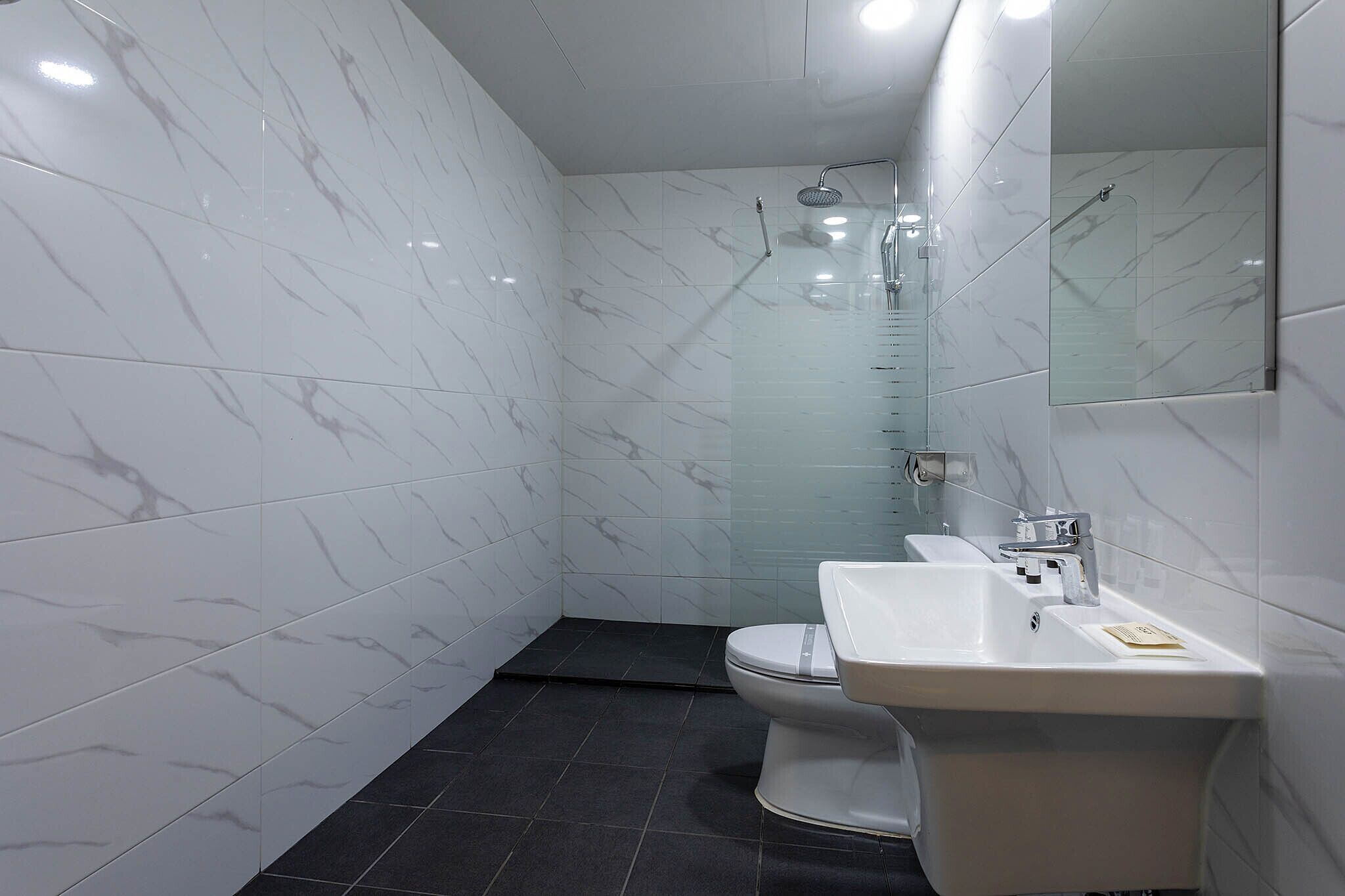 A modern bathroom with a toilet, a sink, and a shower.