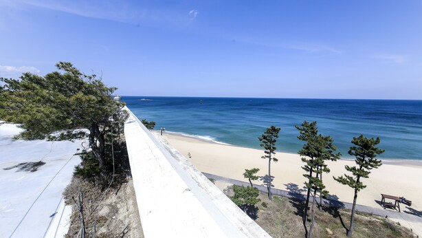 Une plage avec un rivage sablonneux, un ciel bleu clair et quelques arbres.