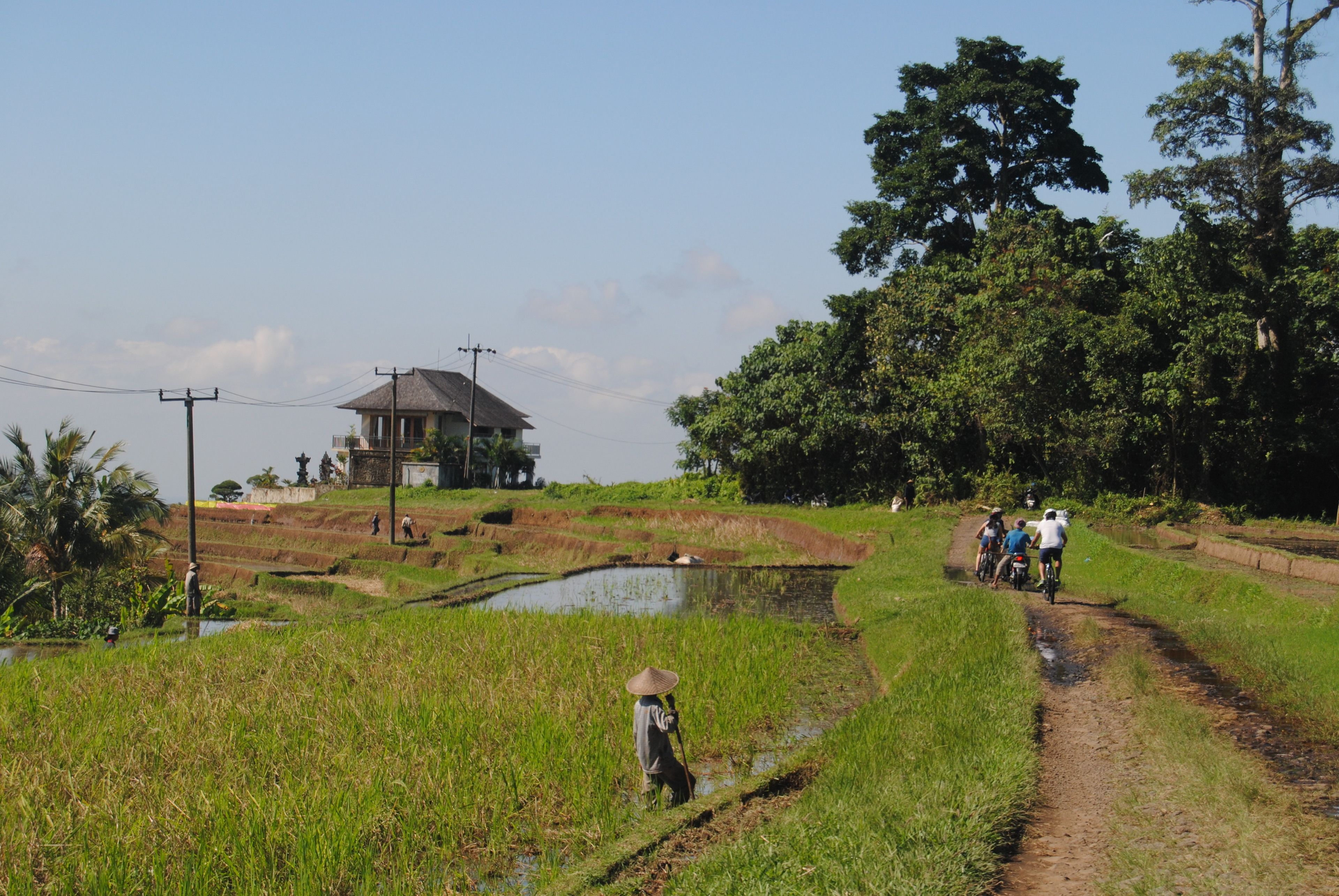 A rural landscape with terraced fields, a small pond, and a house on a hill.