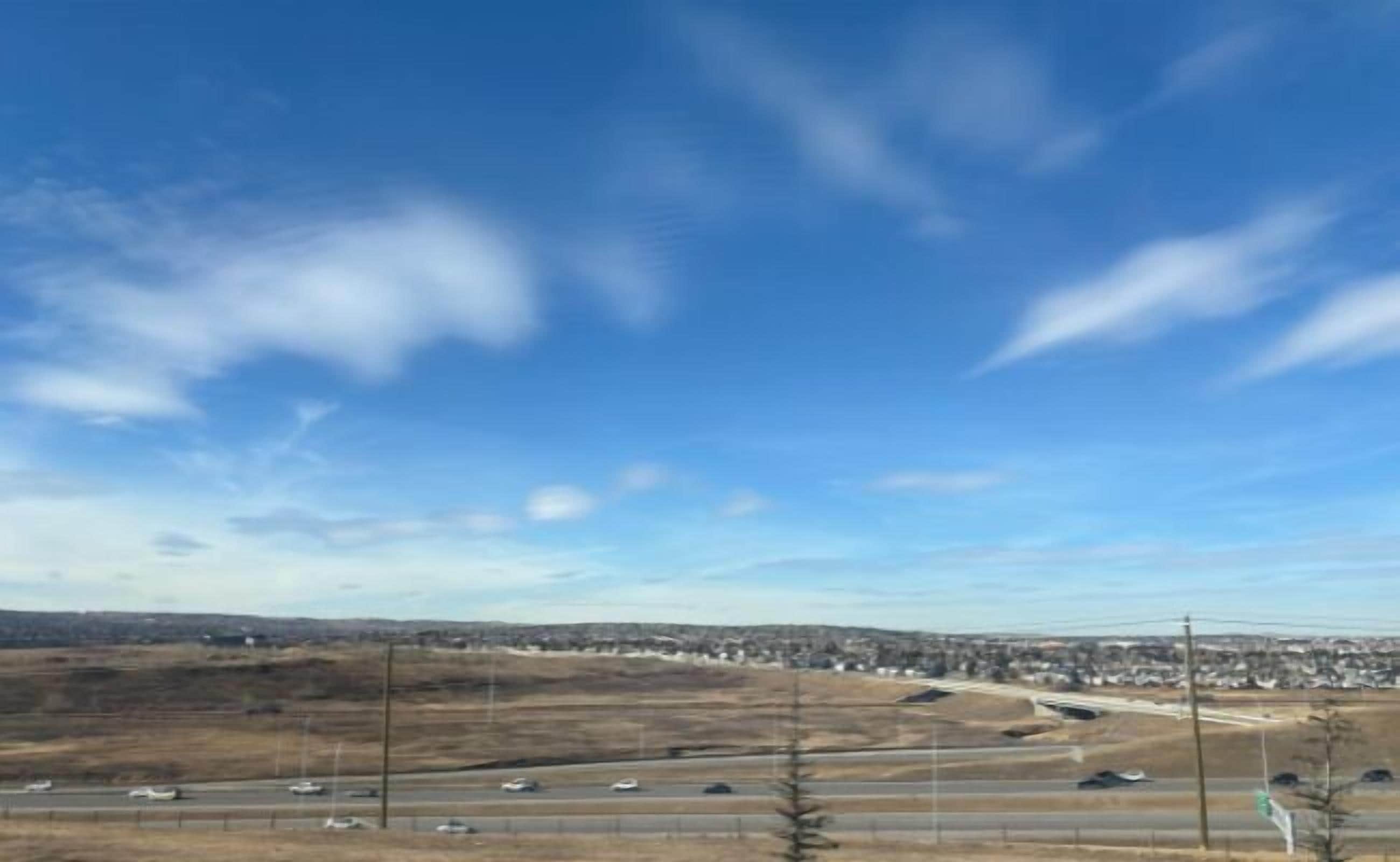 single room, 2 queen beds | view from room