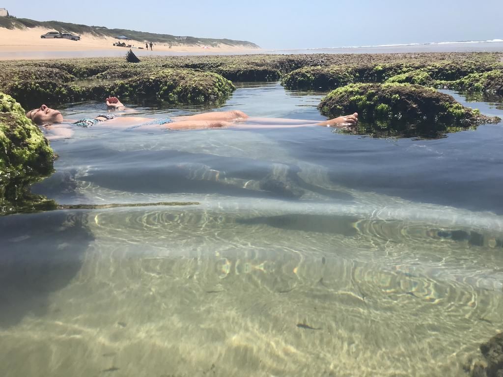 Helder water met zichtbare rotsen en begroeiing.