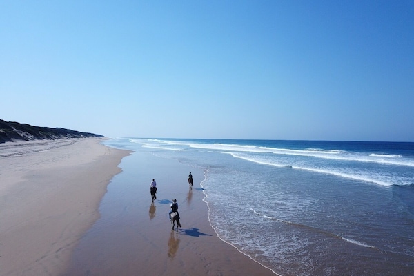 Privatstrand in der NĂ€he, Surfen/Bodyboarden, Kajakfahren