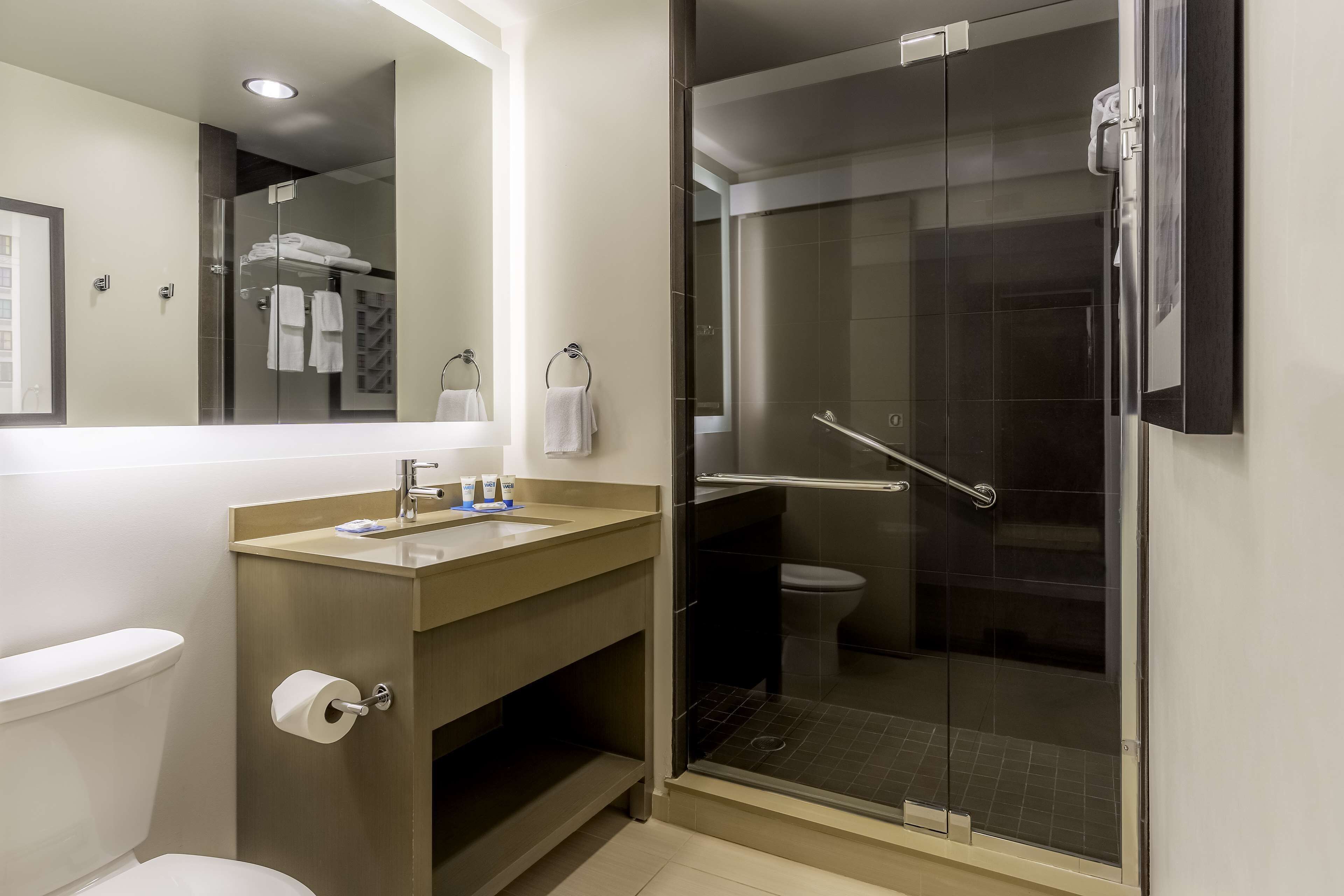 studio, 1 king bed with sofa bed (suite) | bathroom | designer toiletries, hair dryer, towels, soap