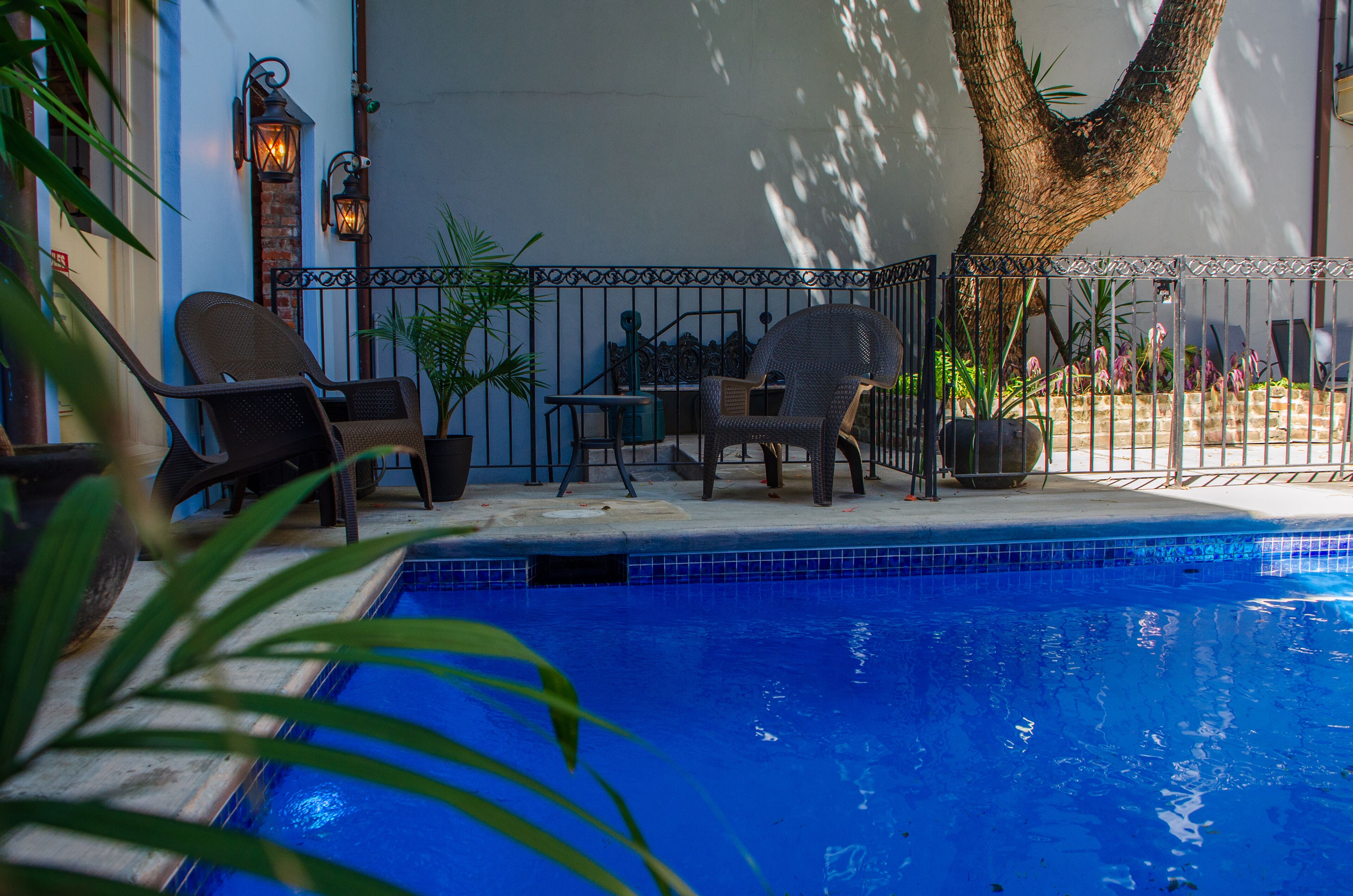 Foto - Jean Lafitte House