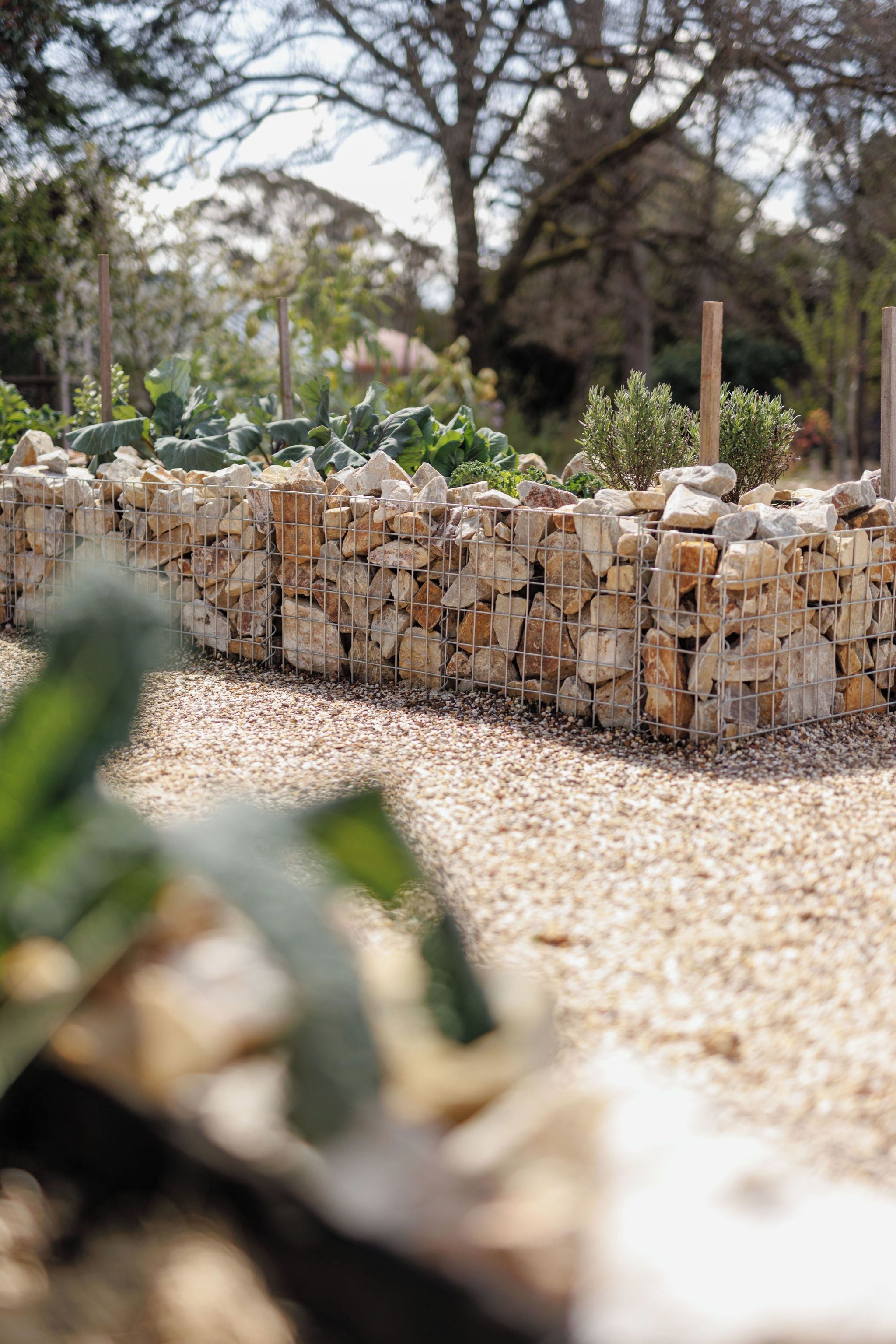 A garden with a stone wall, gravel path, and various plants.