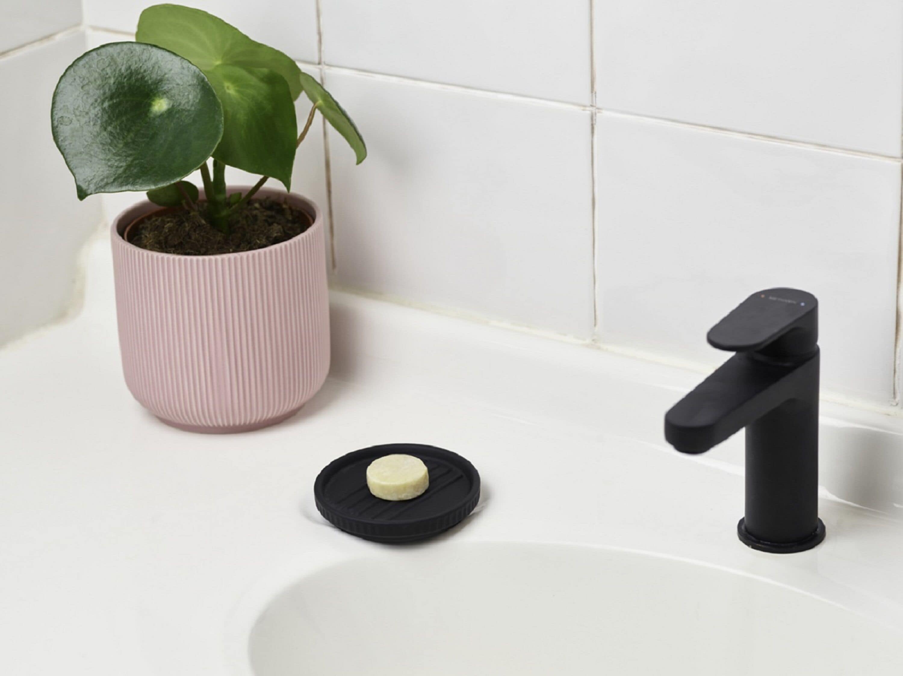 A bathroom with a white sink, a black faucet, and a pink plant in a pot.