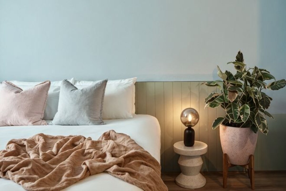 Un lit avec une couverture, des oreillers, une lampe de chevet et une plante en pot.